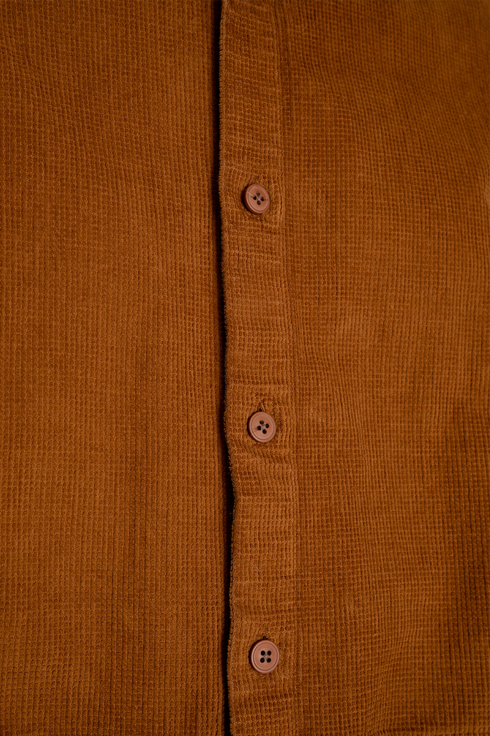 Kestin Armadale Shirt in Rust