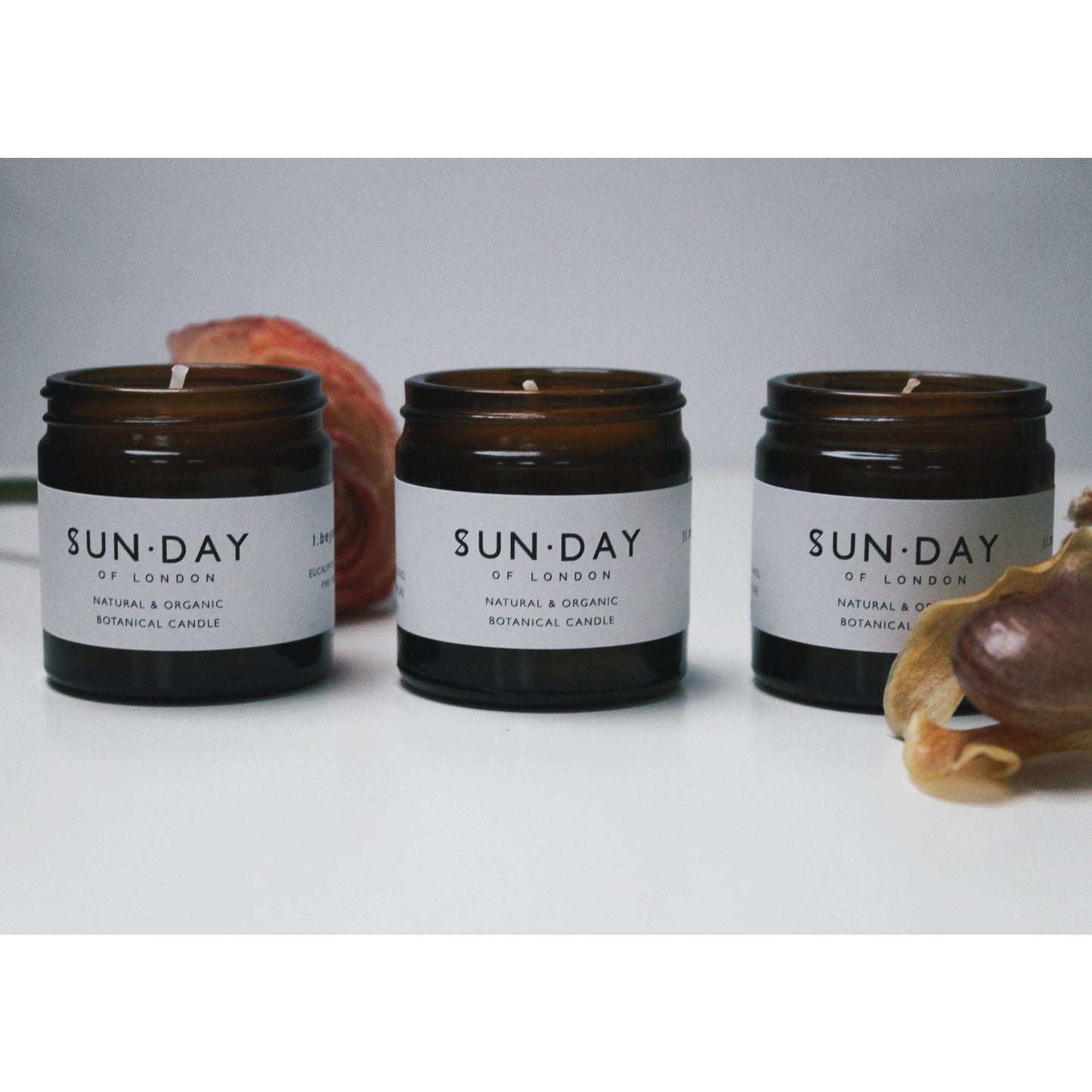 Mini Candle 80 ml - Beyond the Pines - Wallace Mercantile Shop