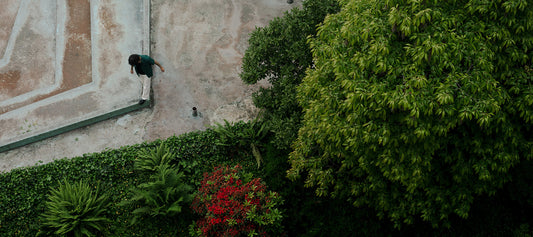 wallace summer editorial Featuring Uniform Bridge