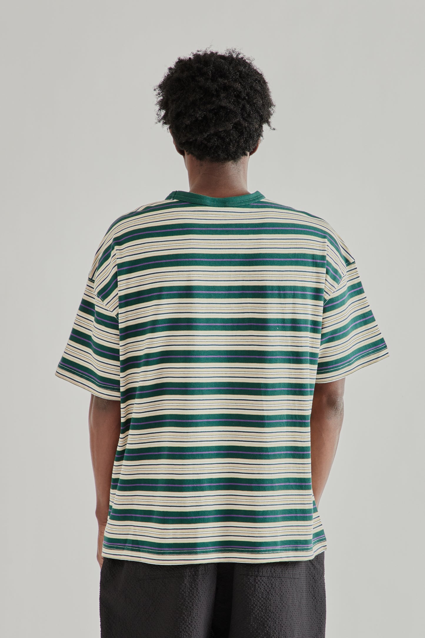 Frizmworks SS26 Horizon Stripe Half Tee Dark Green5076