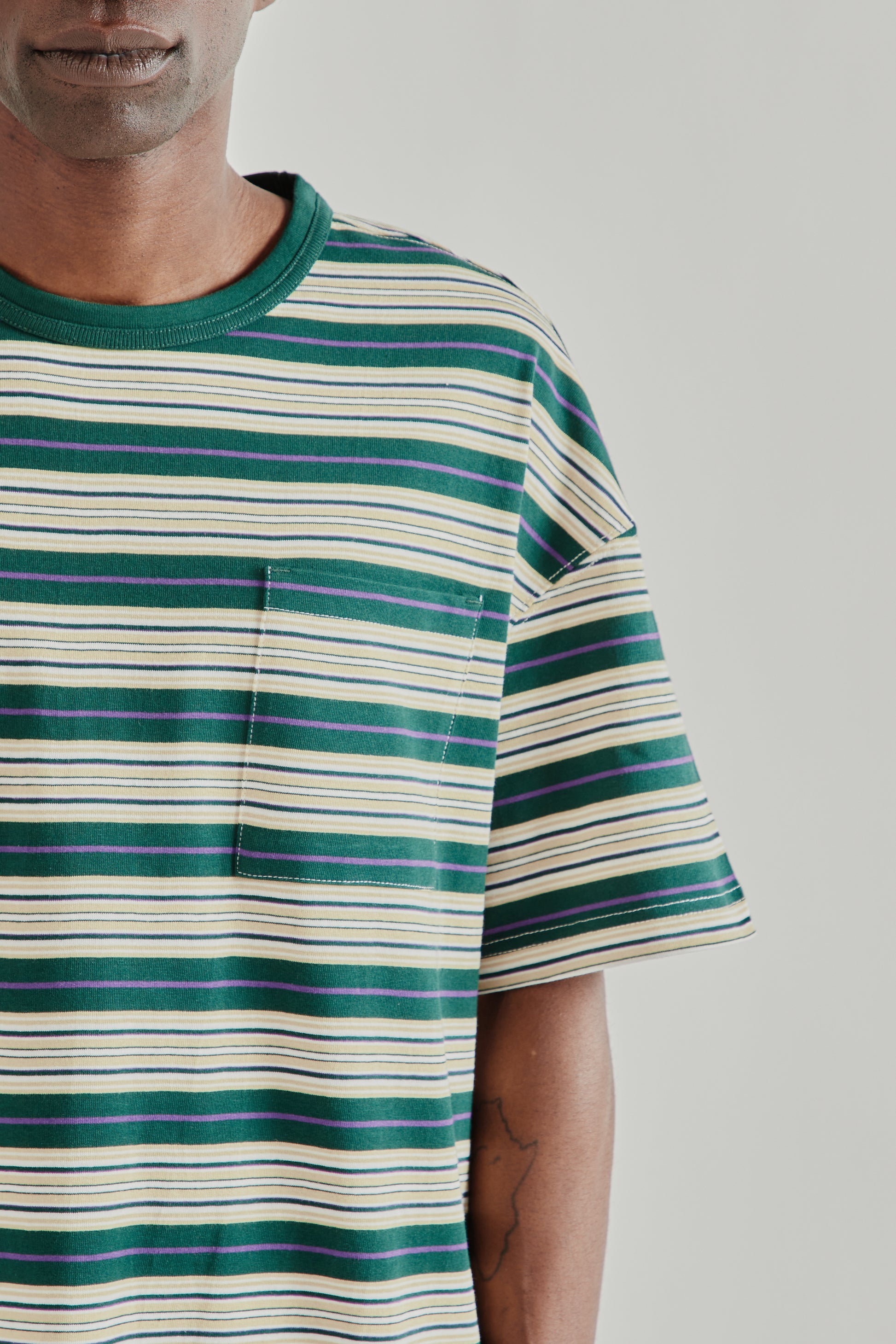 Frizmworks SS26 Horizon Stripe Half Tee Dark Green5079
