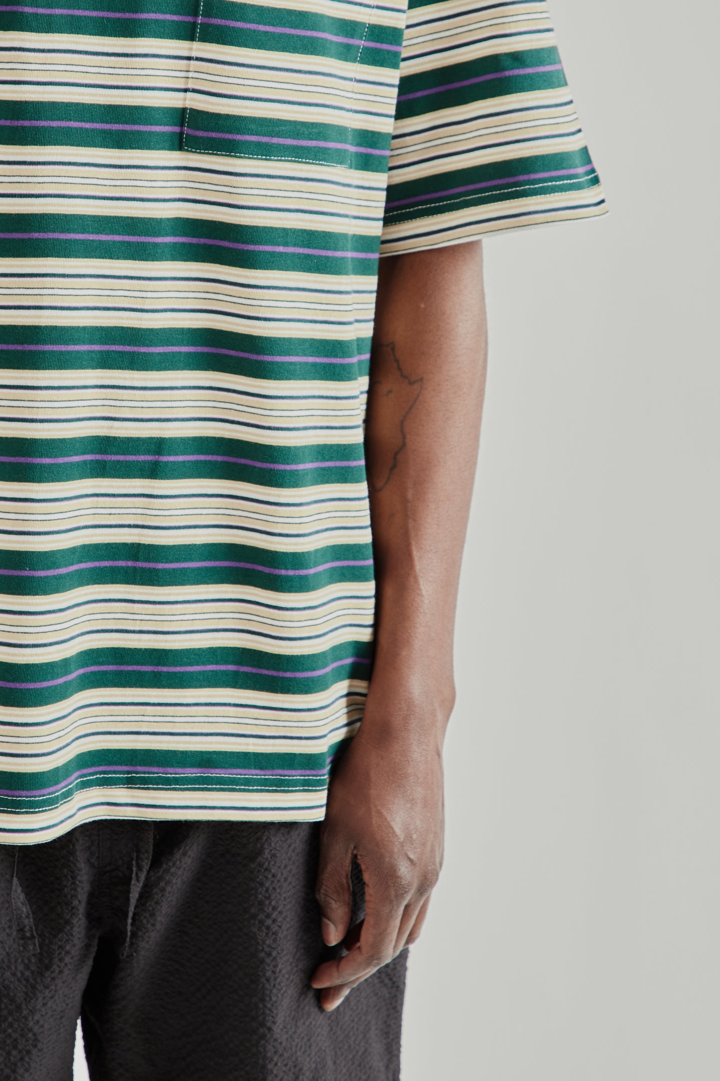 Frizmworks SS26 Horizon Stripe Half Tee Dark Green5080