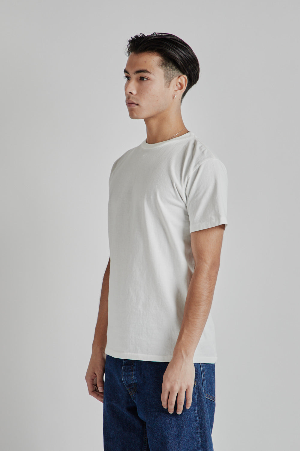 Velva Sheen 2 Pack Crewneck Tee in White/Oatmeal | Wallace