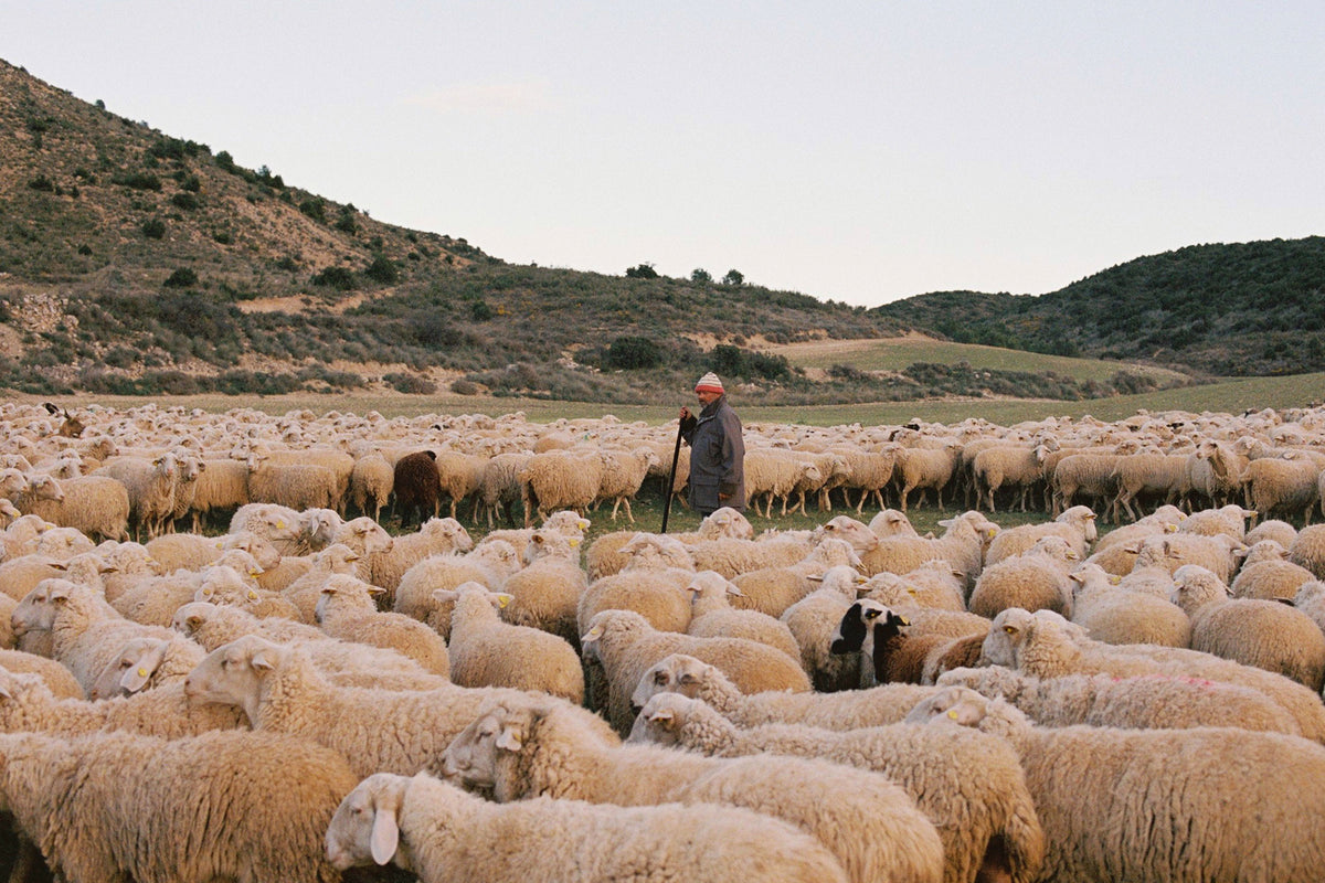 A Kind of Guise: A Journey Through the Pyrenees