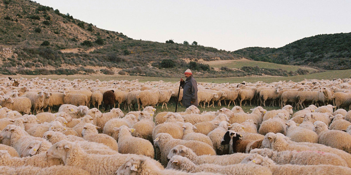 A Kind of Guise: A Journey Through the Pyrenees