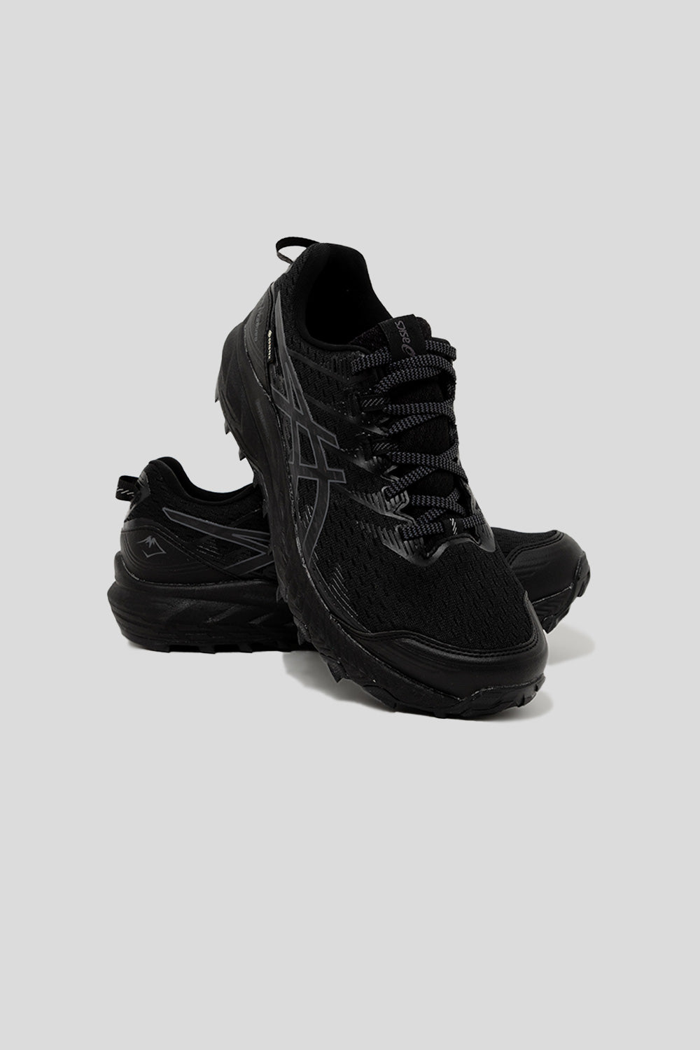 Asics Gel-Trabuco 10 GTX in Black/Carrier Grey | Wallace Mercantile Sh